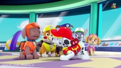 انیمیشن پاوپاترول قسمت سی و سوم  PawPatrol S02E33